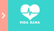 Vida sana